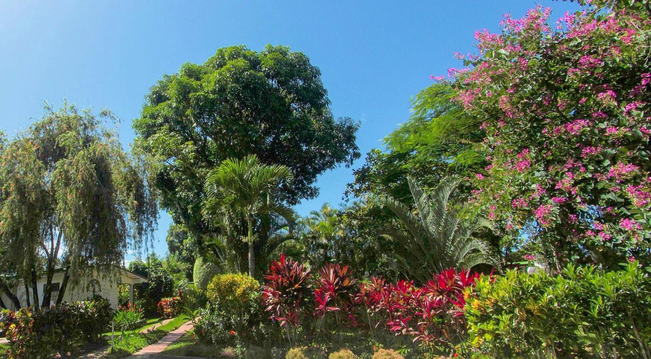 Hotel La Rosa De America Alajuela Kültér fotó