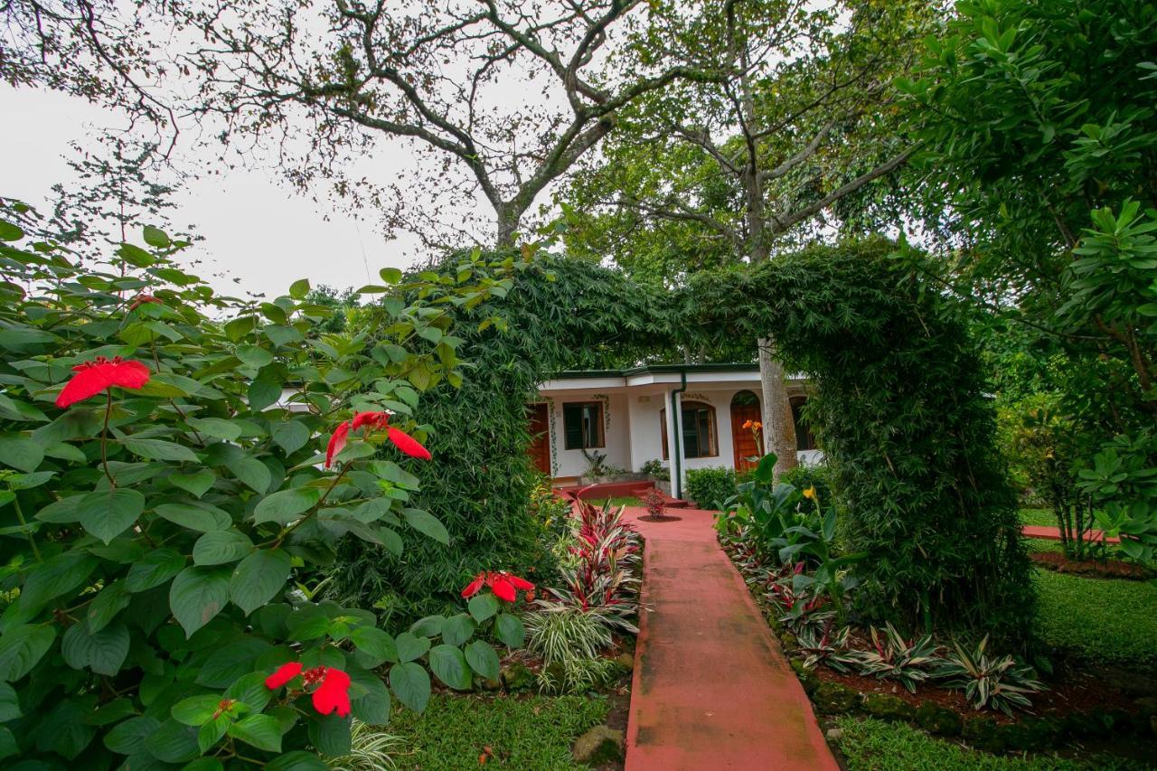 Hotel La Rosa De America Alajuela Kültér fotó