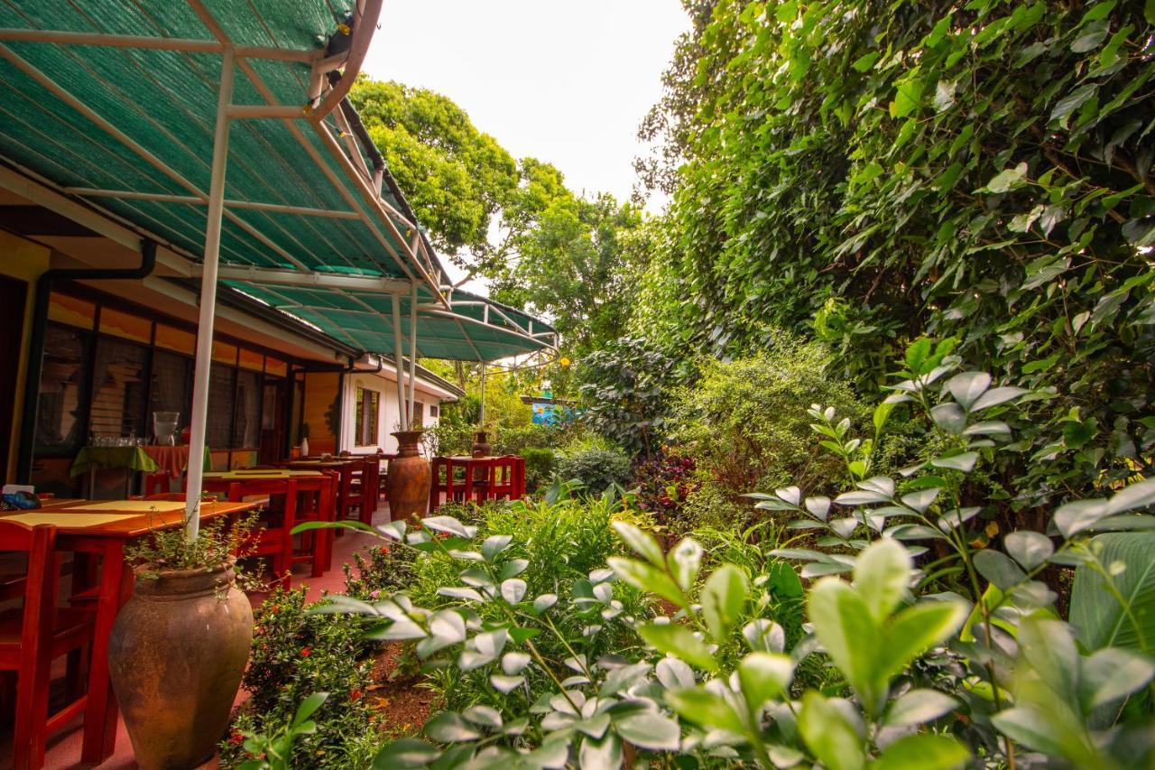 Hotel La Rosa De America Alajuela Kültér fotó